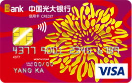 光大銀行陽(yáng)光信用卡 普卡(VISA)